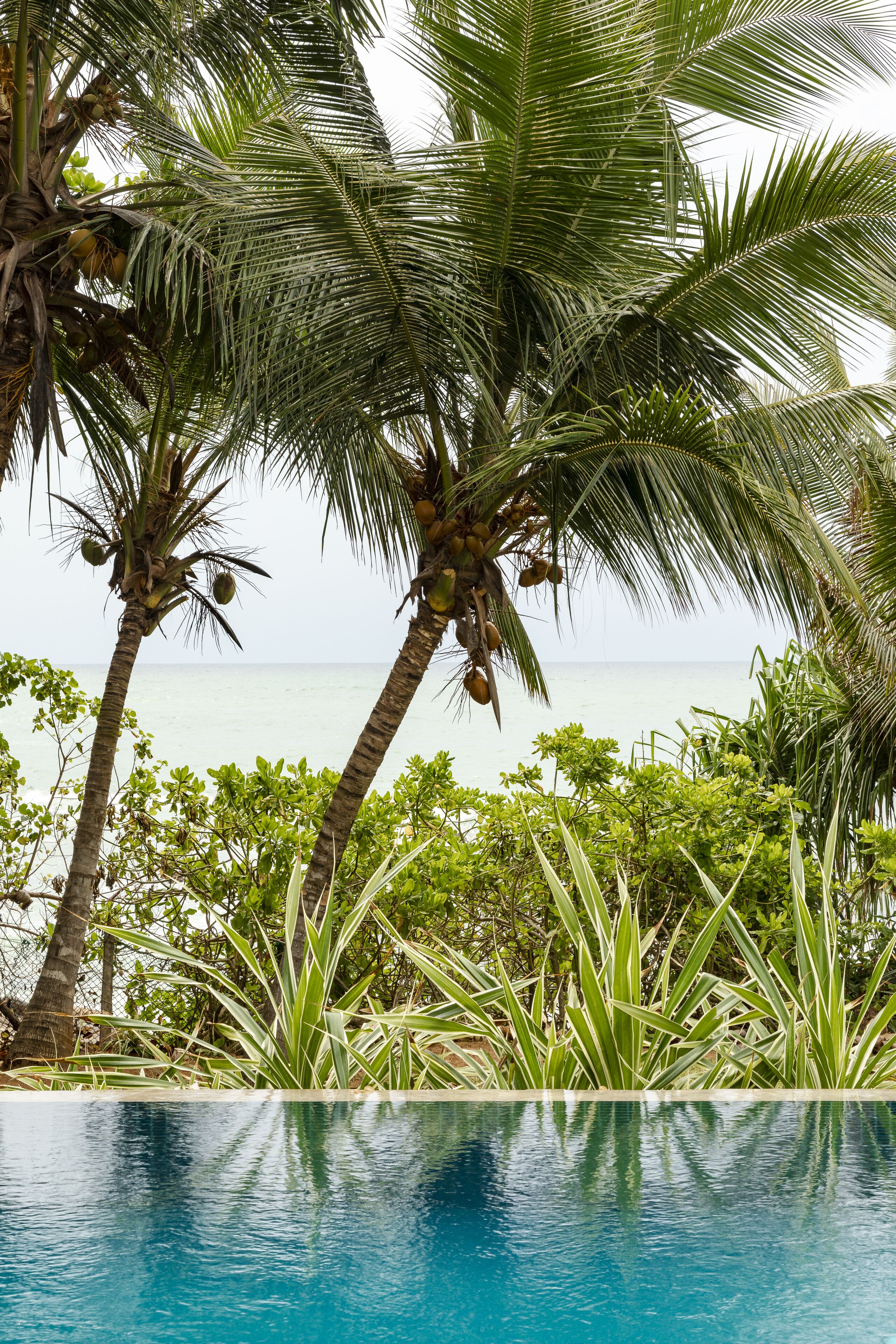 Kolam renang outdoor