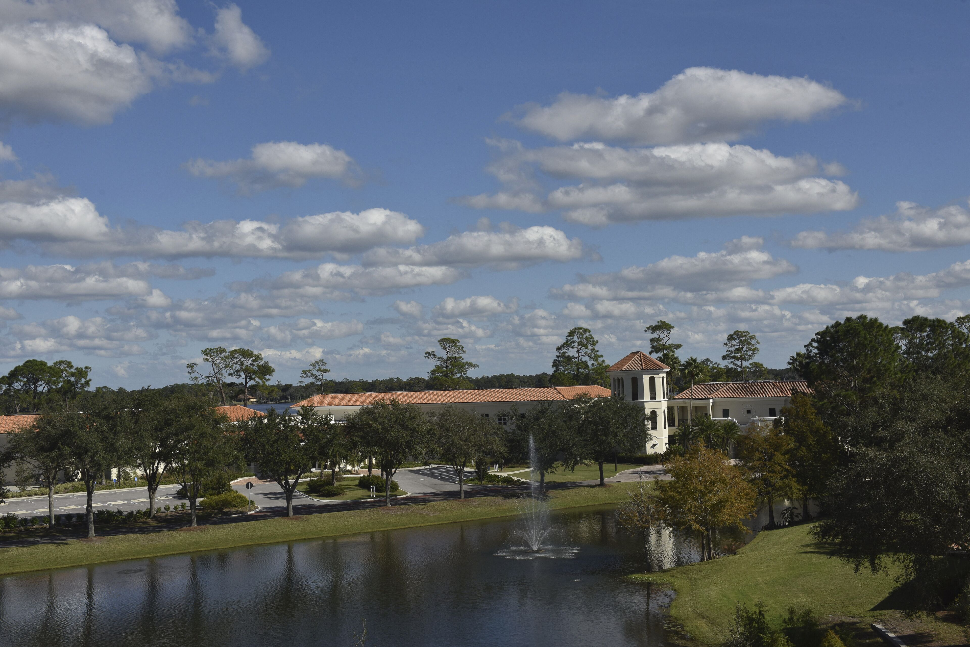 land view from property