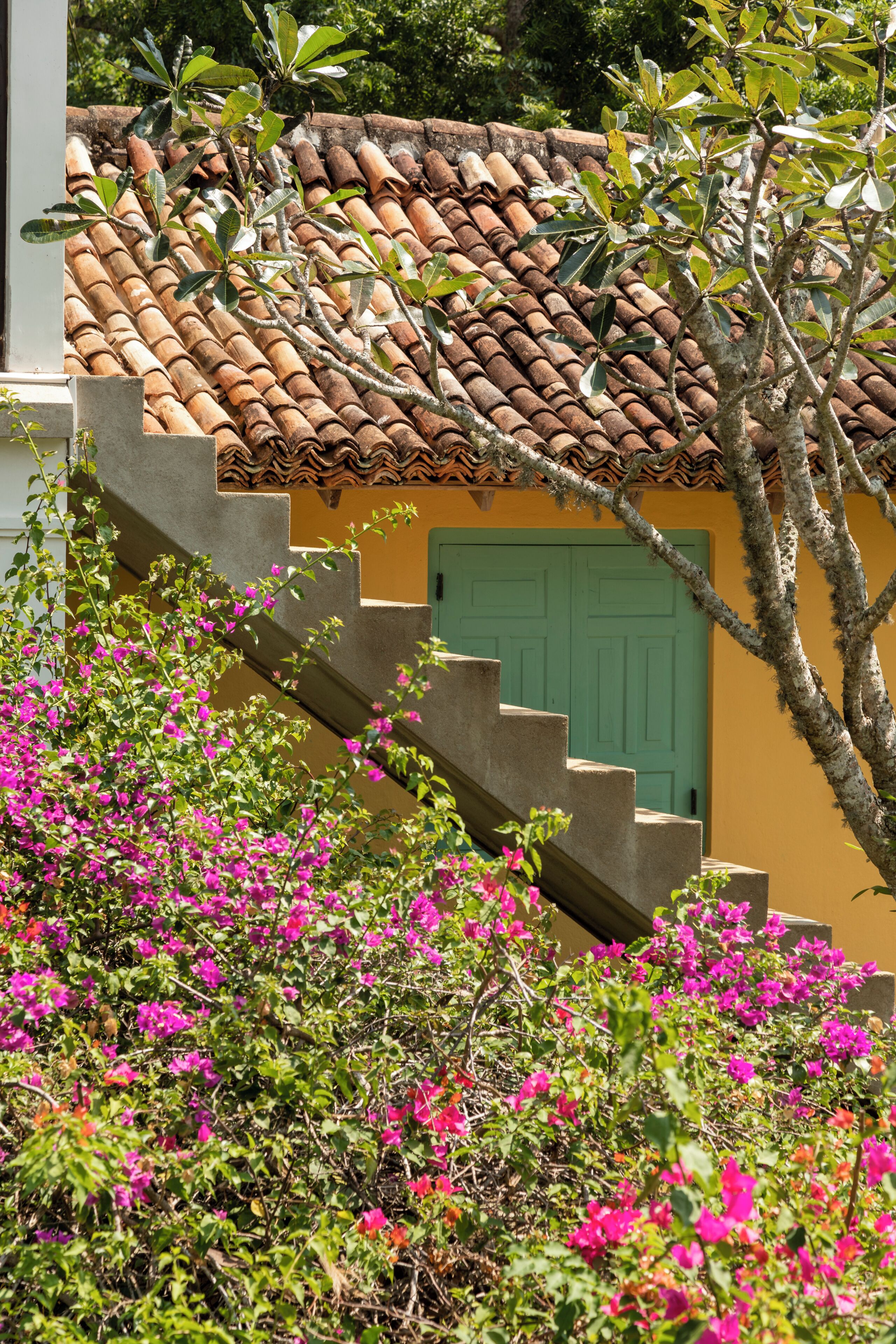 A building with a tiled roof, a green door, and pink flowers in the foreground.