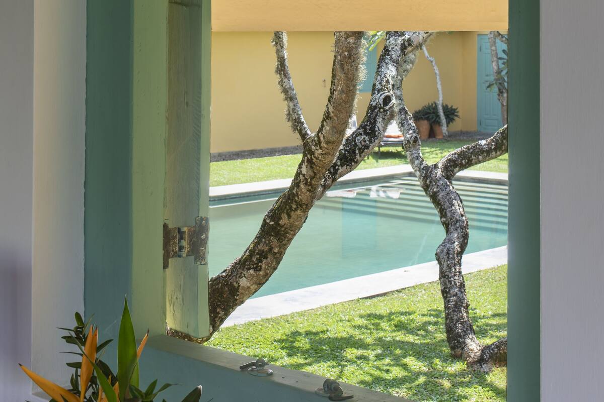 A view through a window with a wooden ceiling and a tree outside.