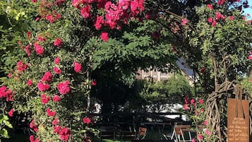 Blick auf den Garten