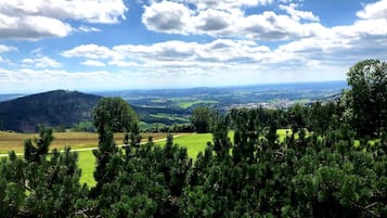 Eine Landschaftsaufnahme mit einem bewaldeten Vordergrund und einer Stadt in der Ferne.