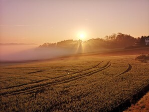 A rural landscape with a field, a house, and a forest in the background. - Landgasthof Zum Kirchenwirt (Thyrnau)