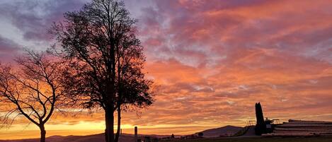 Paisagem com uma árvore imponente e colinas ao longe ao pôr do sol.