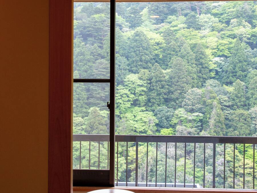 A room with a balcony overlooking a forested area.