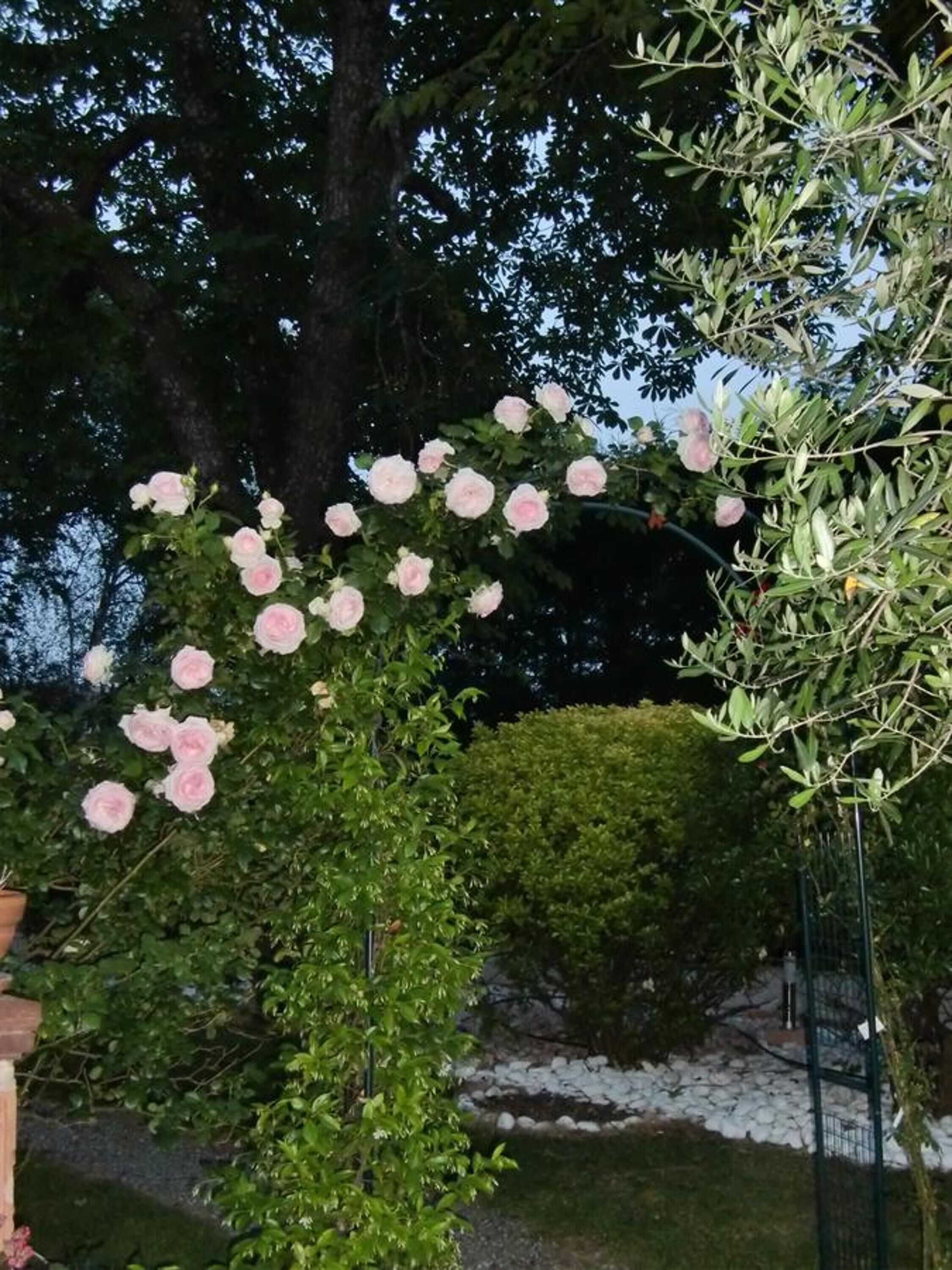 Foto - La Villa des Violettes