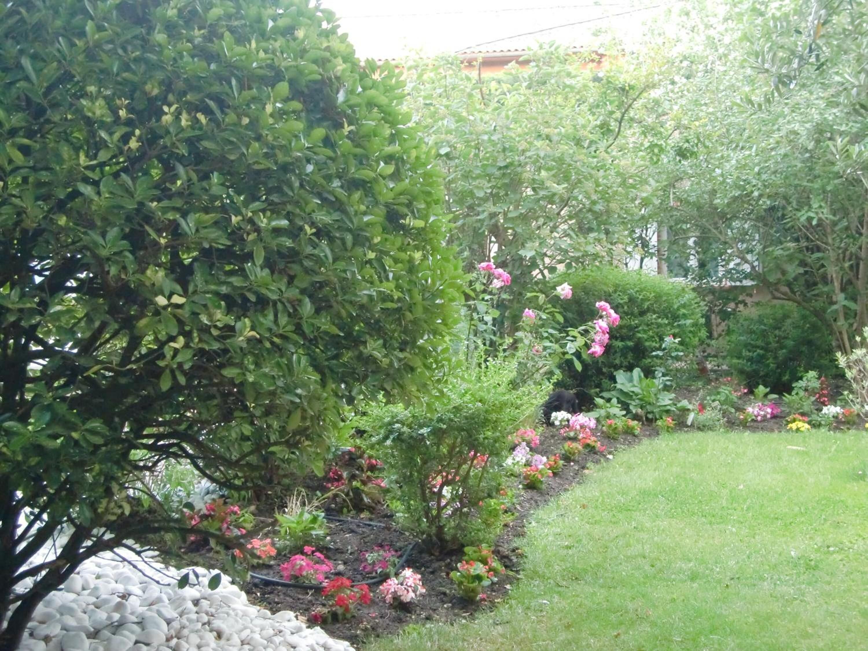 Foto - La Villa des Violettes