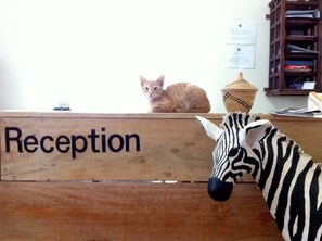 Recepció