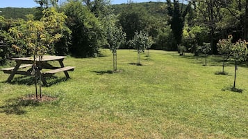 A grassy area with a picnic table and several young trees.