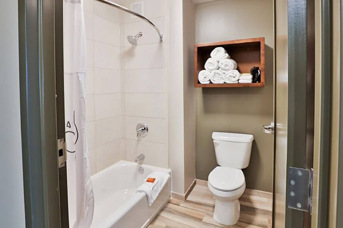 combined shower/bathtub, free toiletries, hair dryer, towels