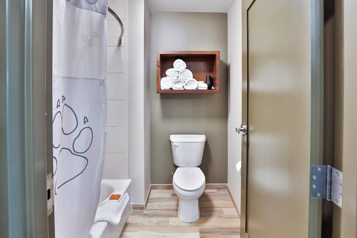 combined shower/bathtub, free toiletries, hair dryer, towels