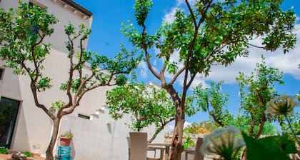 Riz Salento Guest House