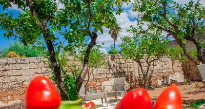 Riz Salento Guest House