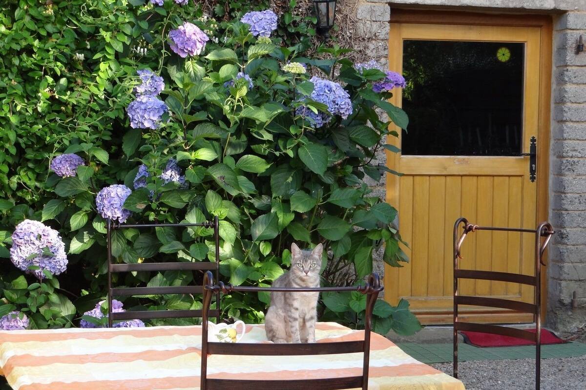 A table with a striped tablecloth, two chairs, and a cat sitting on the table.