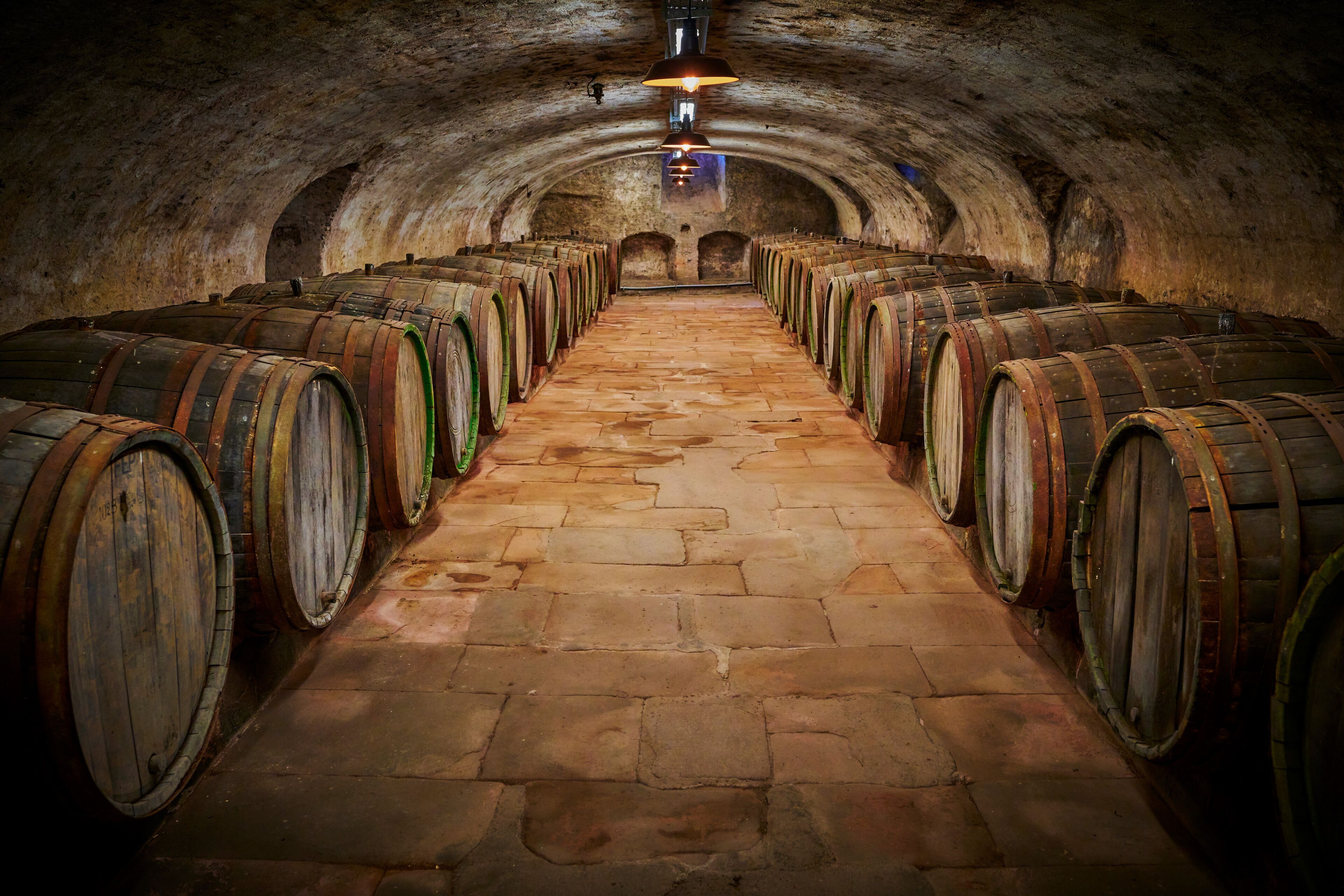 Una cantina in pietra con file di botti di legno disposte ai lati di un corridoio centrale.