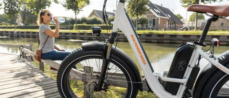 A white electric bike with "RAD POWER BIKES" branding, a rear rack, and a seat.