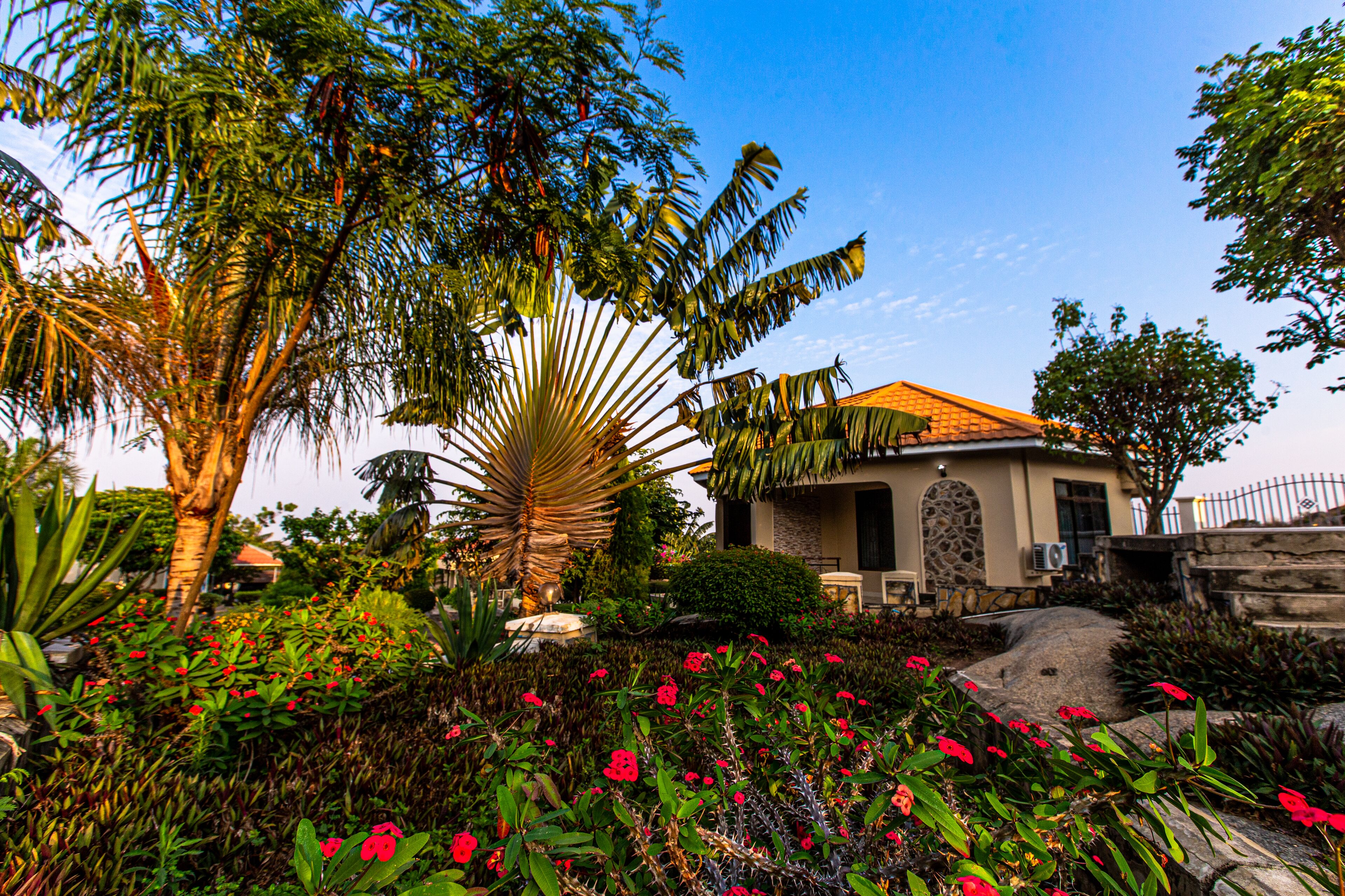 deluxe double room, garden view | garden view