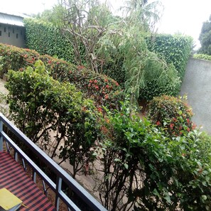 Un jardin avec différentes espèces de plantes et une rambarde en métal.