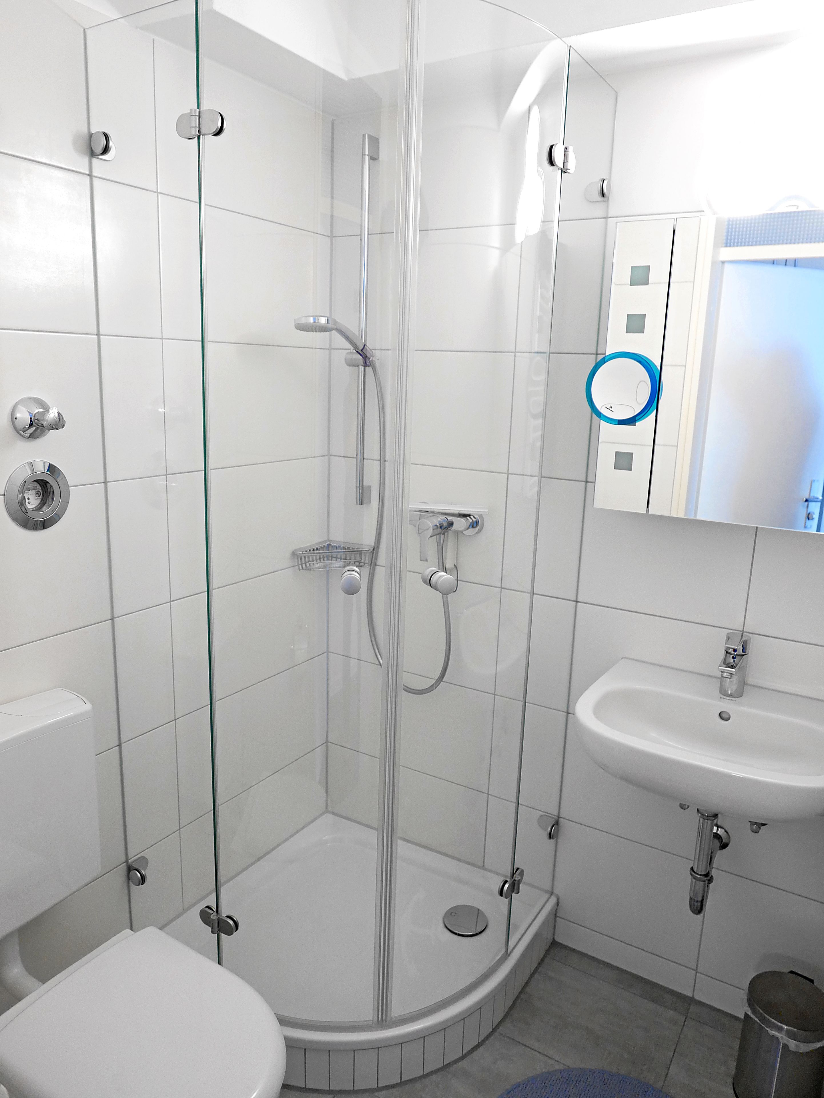 A modern bathroom with a glass-enclosed shower, a white sink, and a toilet.