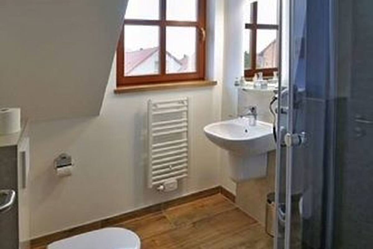 economy double room single use | bathroom | shower, free toiletries, hair dryer, towels