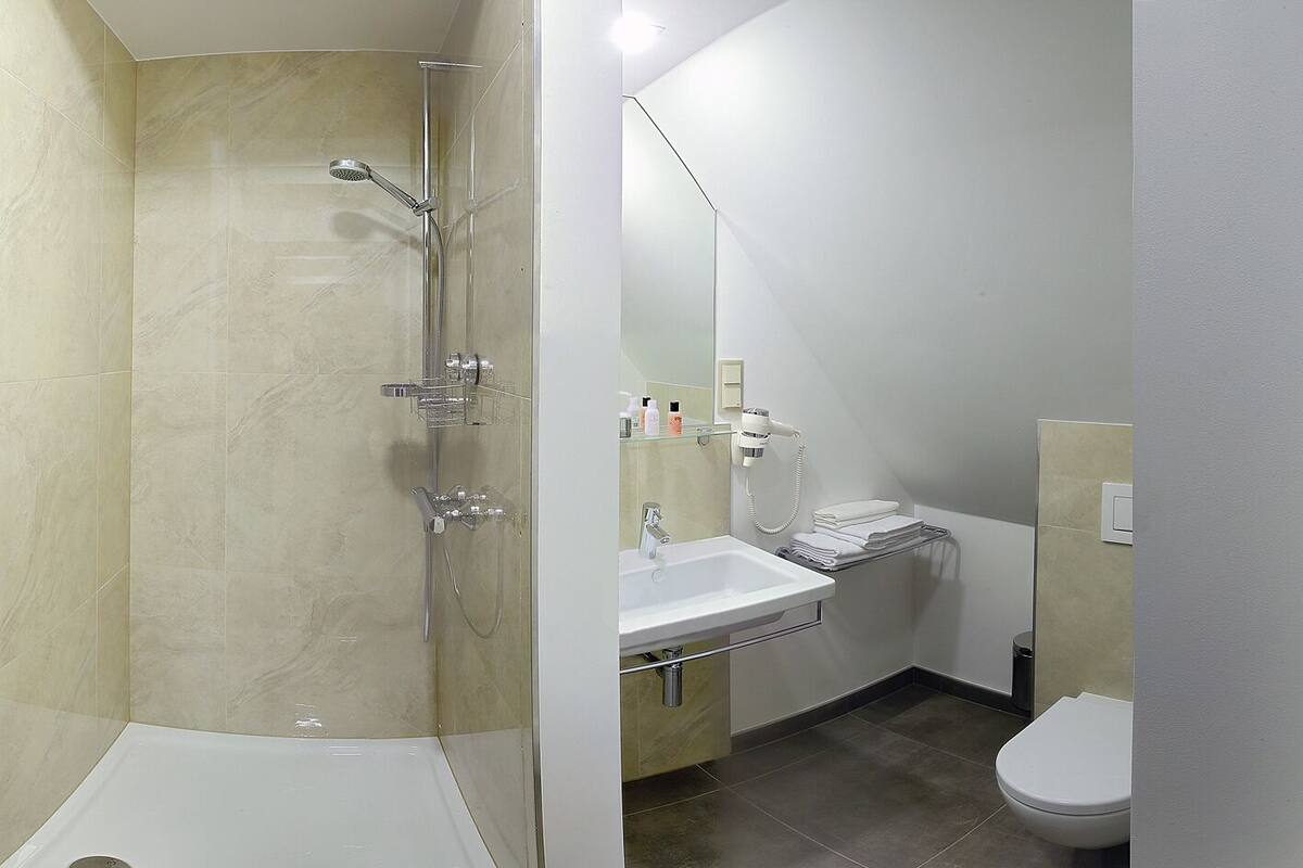premium double room | bathroom | shower, free toiletries, hair dryer, towels