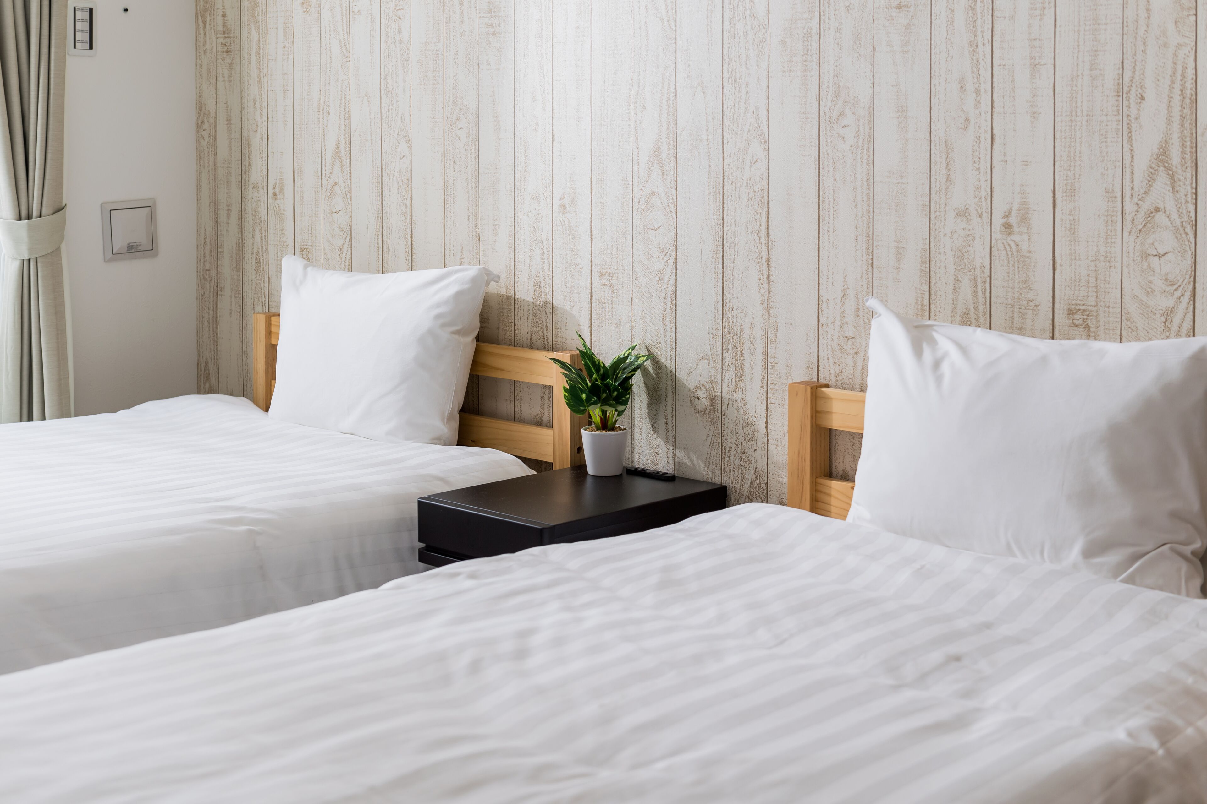 A hotel room with two beds, wooden headboards, white bedding, a small potted plant, and a black bedside table.