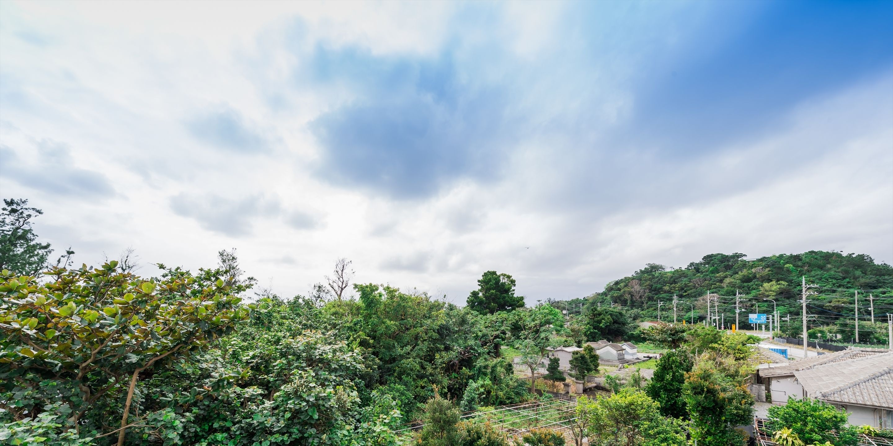 A lush green landscape with dense foliage and a clear sky.
