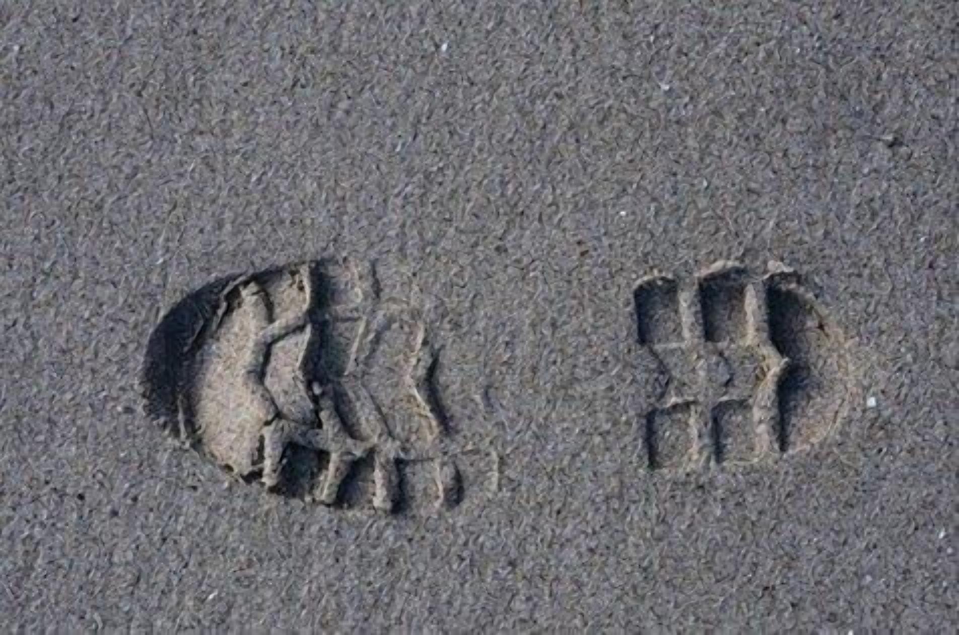Footprints in the sand.