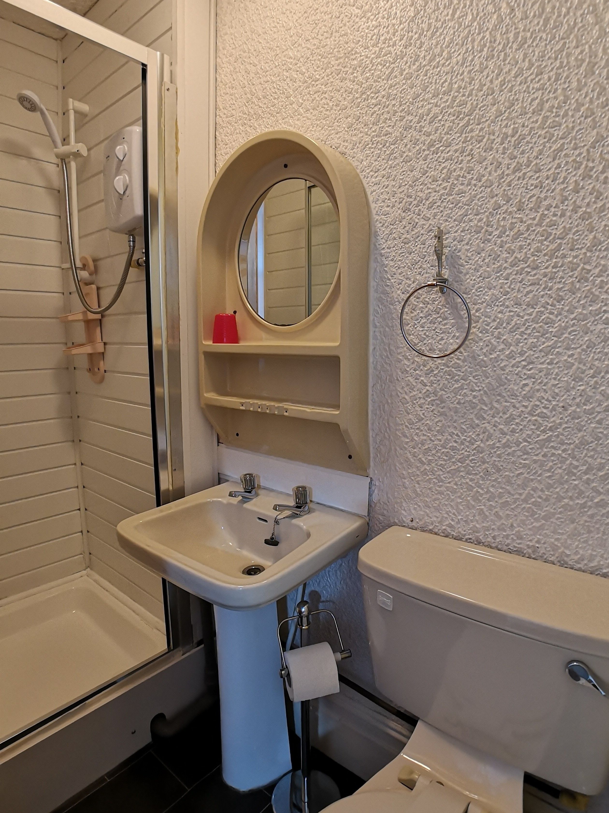 hair dryer, towels, soap, shampoo