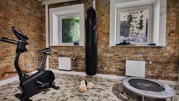 A room with a brick wall, a punching bag, an exercise bike, a trampoline, and windows with views of greenery.