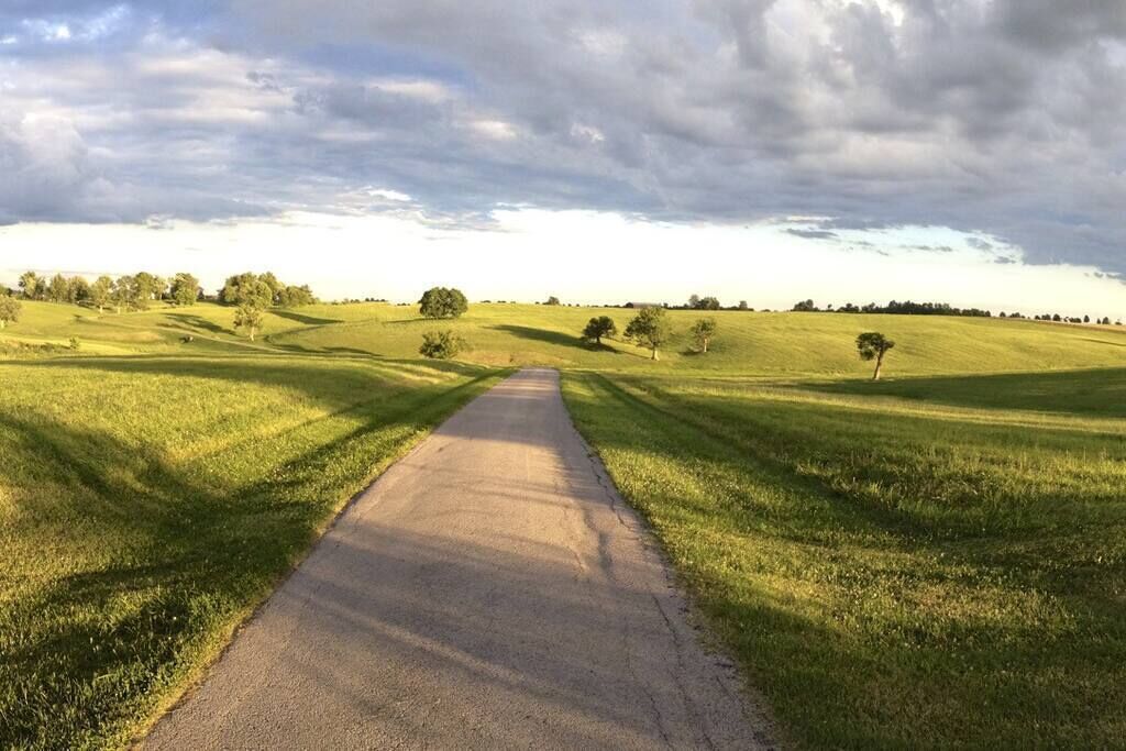 Een landelijk landschap met een verhard pad dat door groene velden en verspreide bomen loopt.