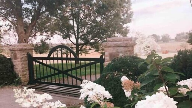 A gated entrance with a stone wall, a tree, and white hydrangea flowers.
