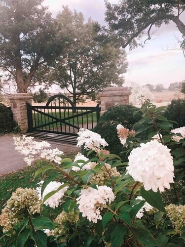 Cabin in Kentucky Horse Country