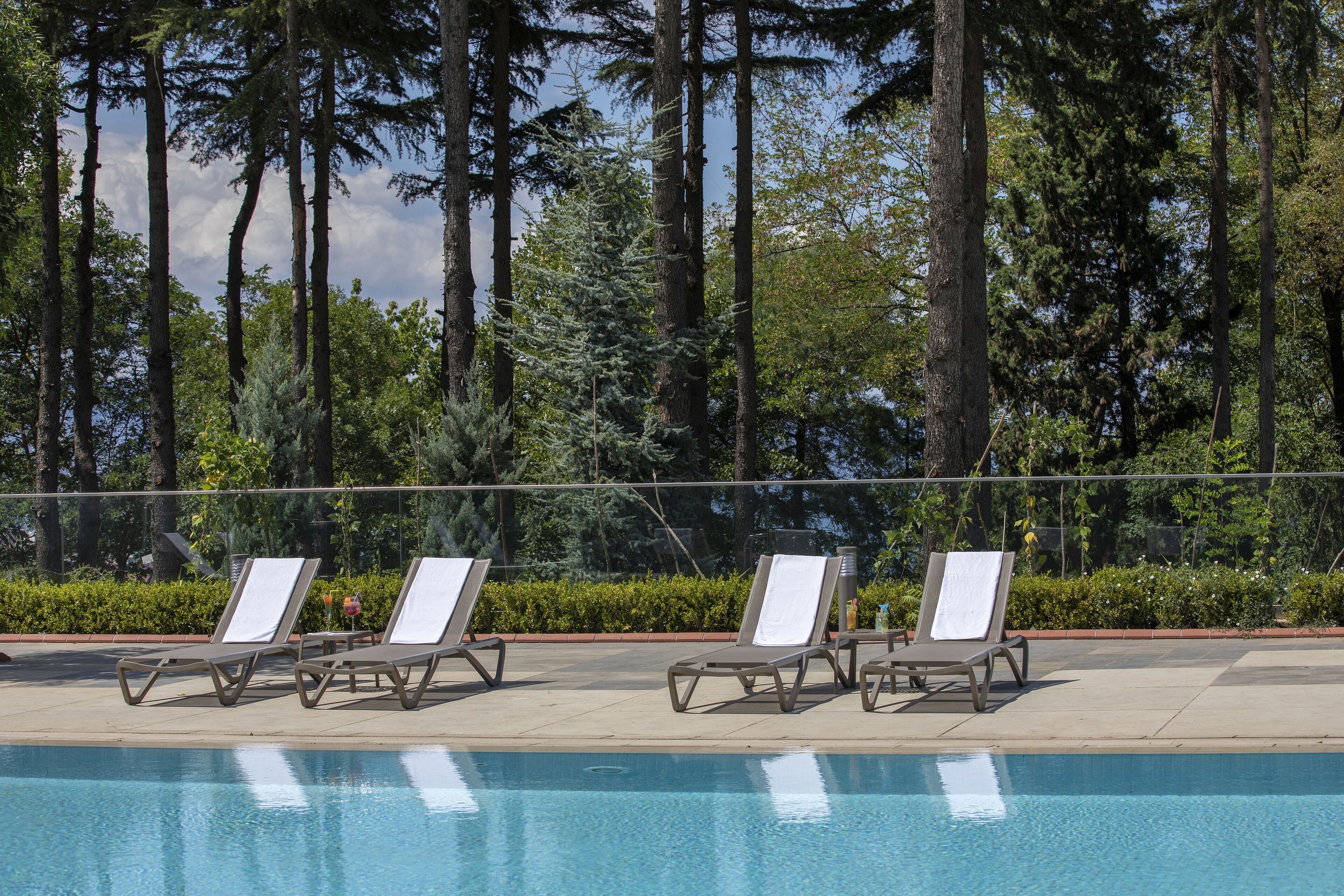 Zona de piscina con sillas de descanso y vista a árboles altos.
