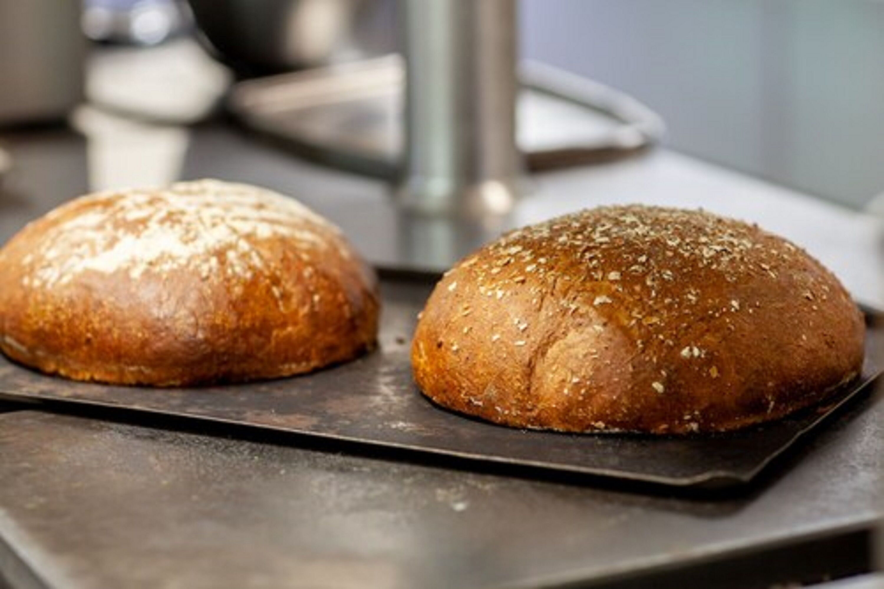 Two loaves of bread on a baking tray.