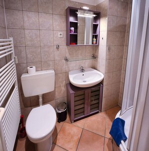 Shower, hair dryer - Haus Wylich 505 - Haus Wylich (with indoor pool) (Binz)
