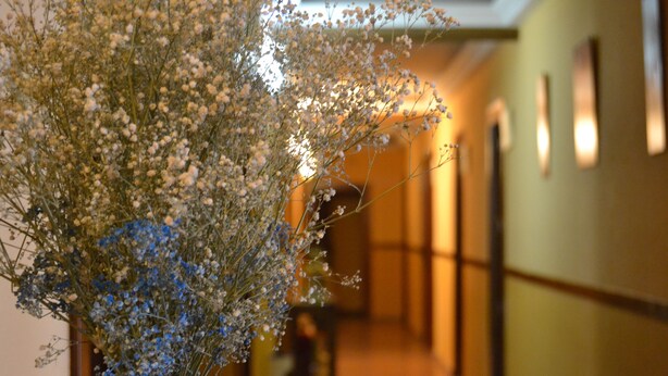 Un pasillo con un jarrón de flores.