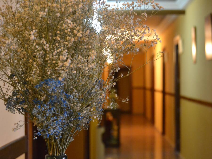 DĂ©tail de lâintĂ©rieur