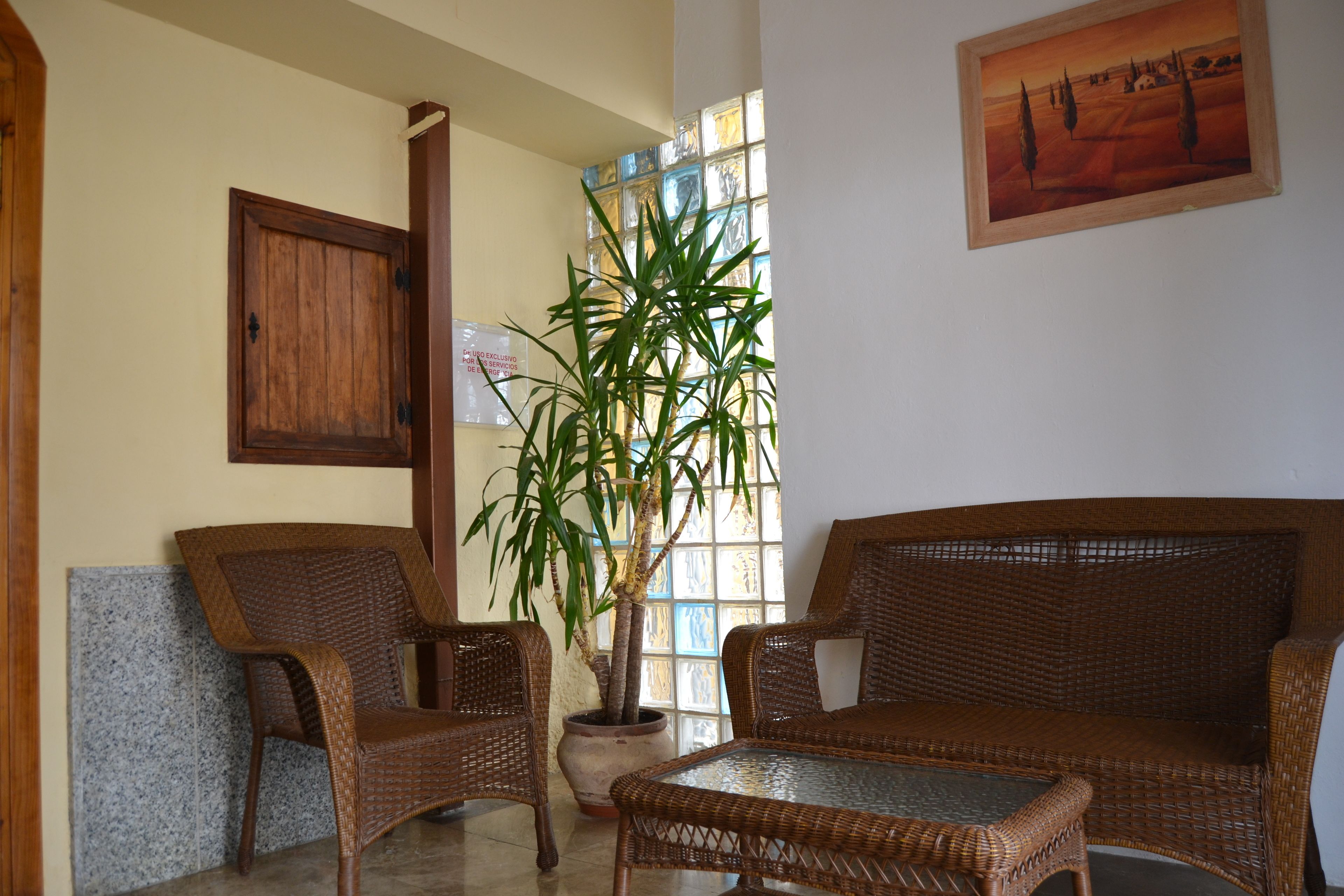 A room with wicker furniture, a potted plant, and a painting on the wall.