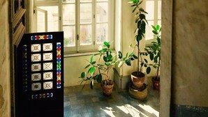 An arched doorway with a window, potted plants, and a stained glass door. - House in historic villa absolute tranquility sea and center Naples (Napoli)