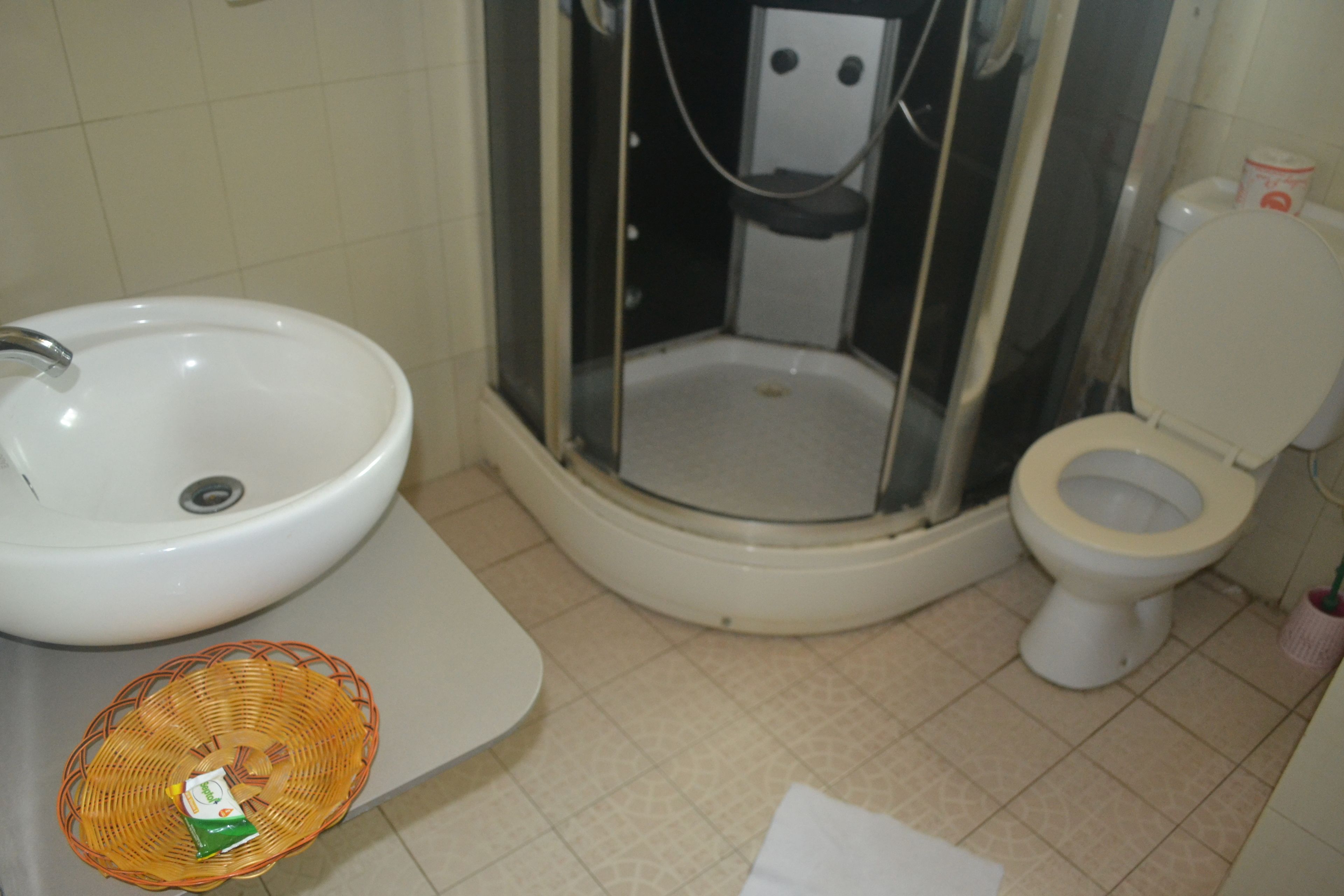 A bathroom with a sink, toilet, and shower enclosure.