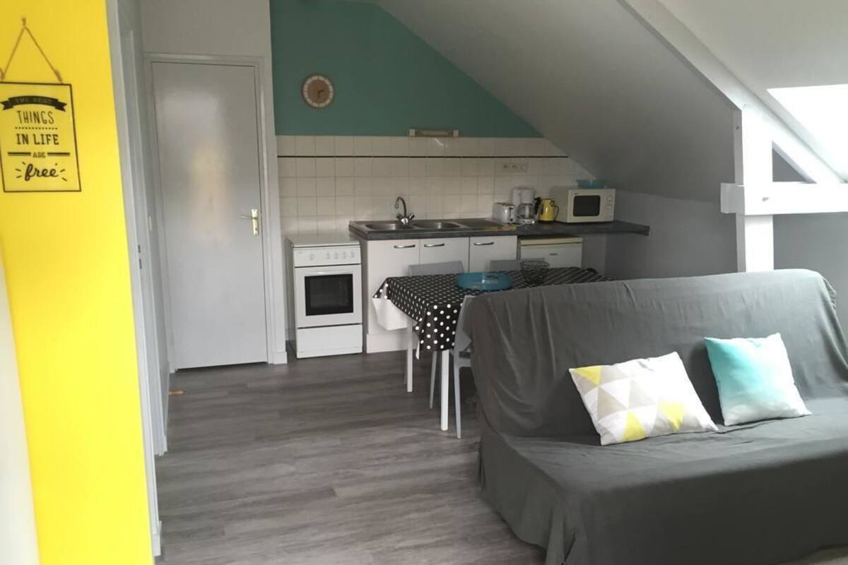 A compact living space with a kitchenette, a dining area, and a sofa with cushions.
