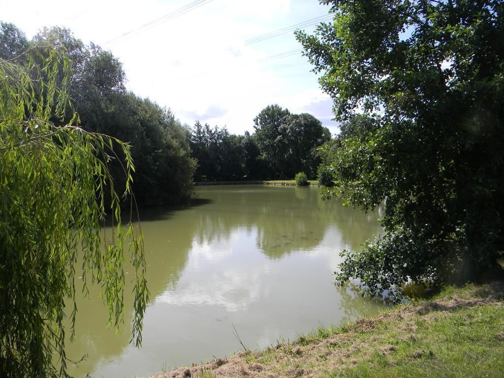 Een rustige rivier omzoomd door weelderige begroeiing.