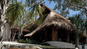 A thatched-roof structure with a stone staircase leading up to it, surrounded by tropical vegetation.