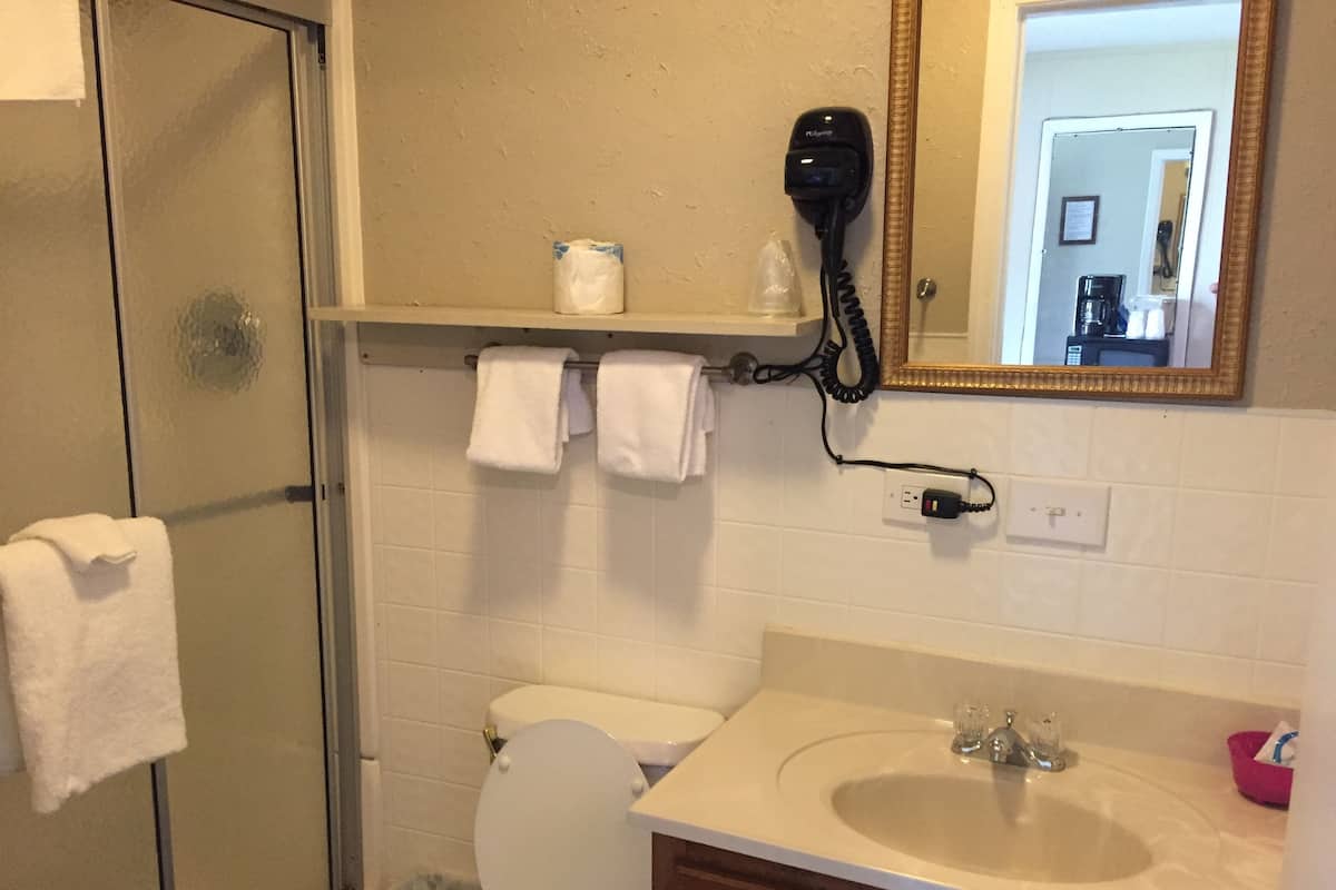 A bathroom with a glass shower enclosure, a toilet, a sink with a mirror above it, and a hairdryer on the wall.