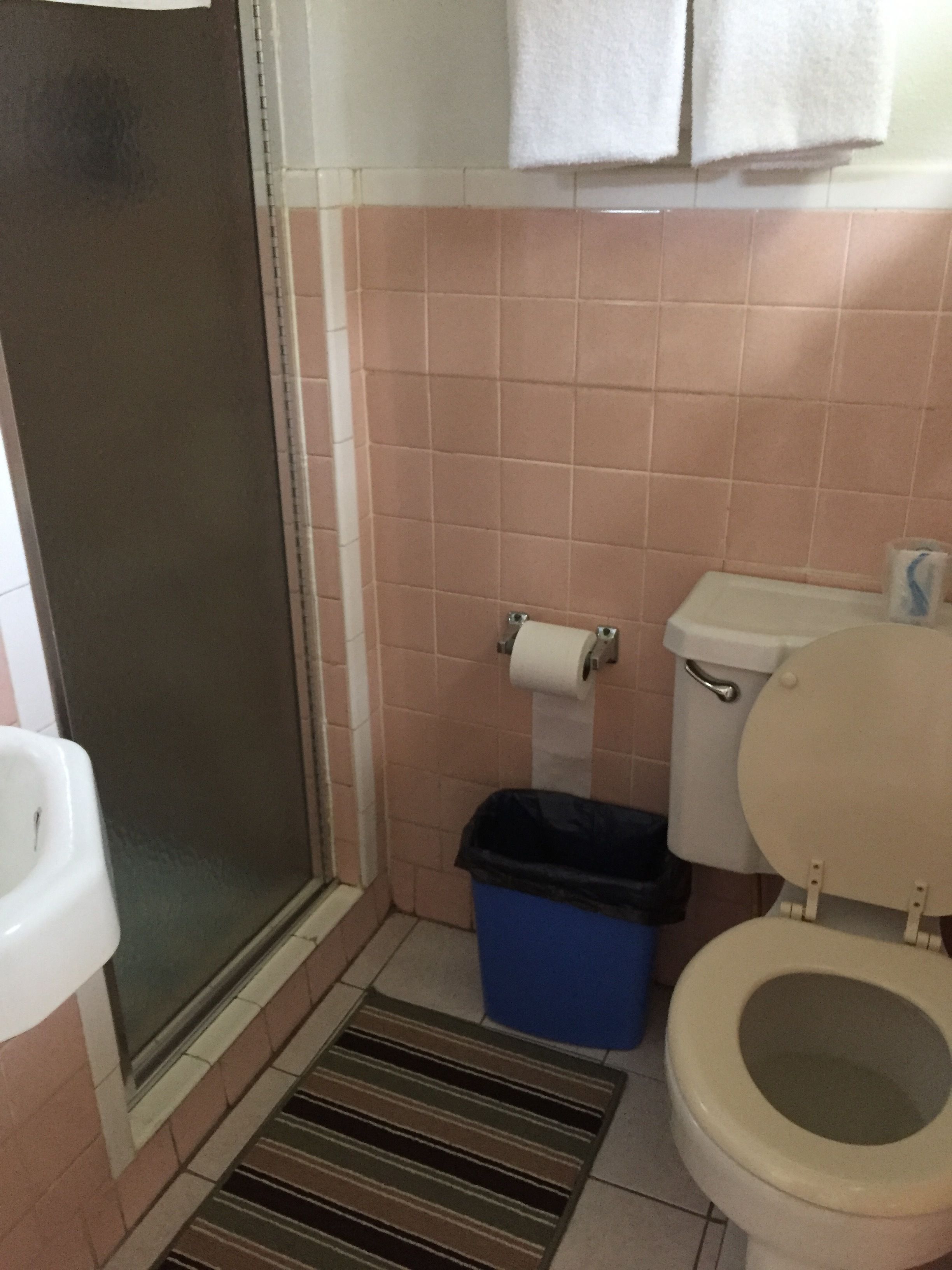 Un baño con inodoro, un bote de basura, ducha y toallero.