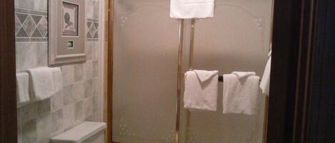 A bathroom with a glass-enclosed shower, a toilet, and a sink.