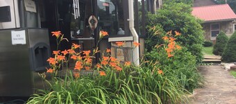 Phillips Historic Motel & Cottages