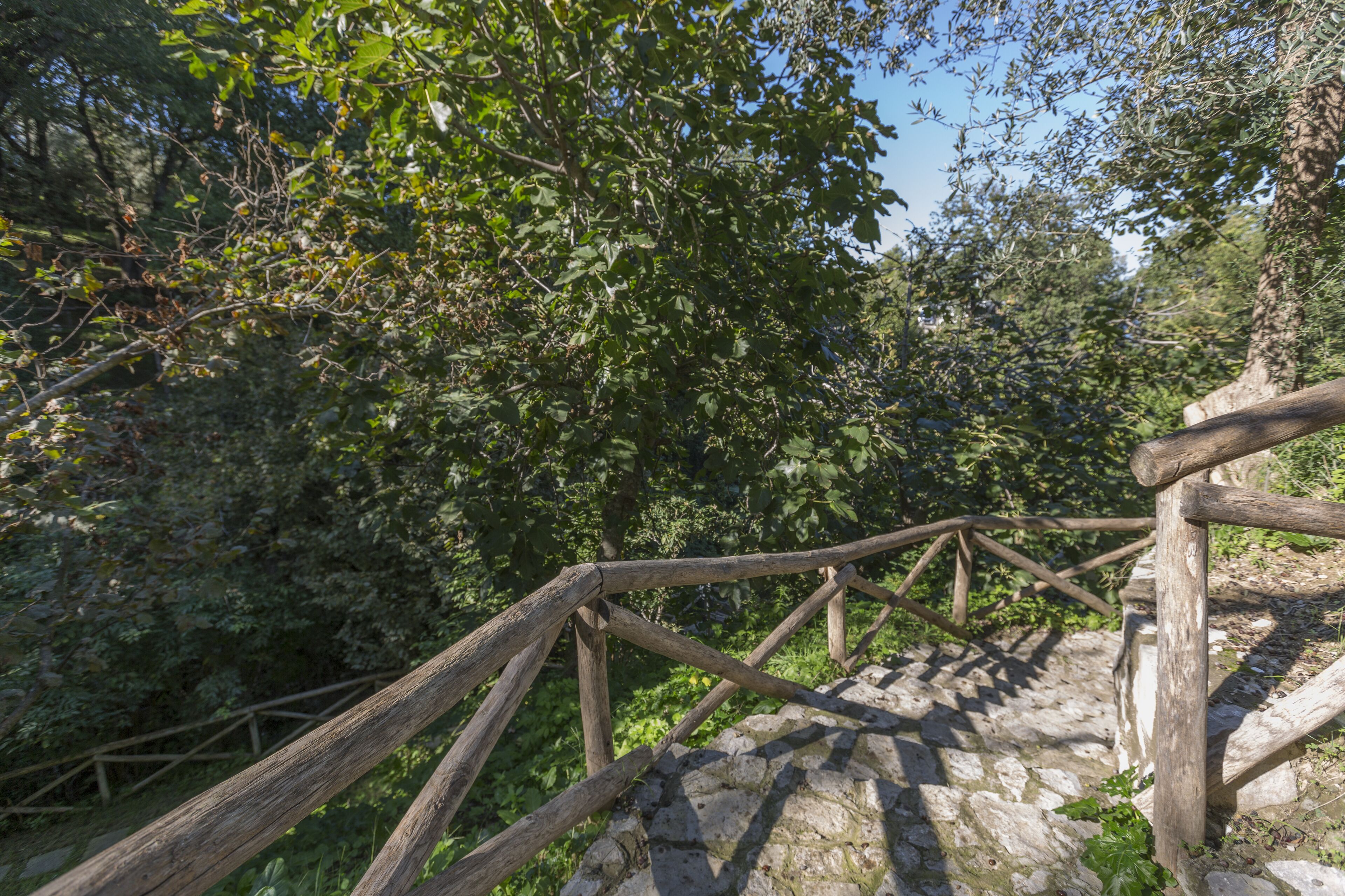 Foto - Sorrento Dream