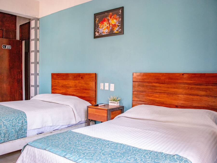 Two single beds with wooden headboards in a room with light blue walls.